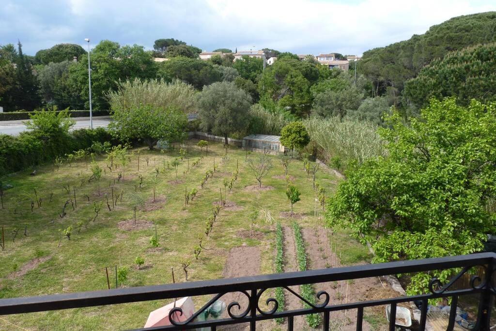 Appartement Independant Dans Villa, Entre Frejus Et St Raphael Exterior foto